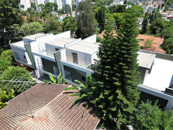 Foto REO512901