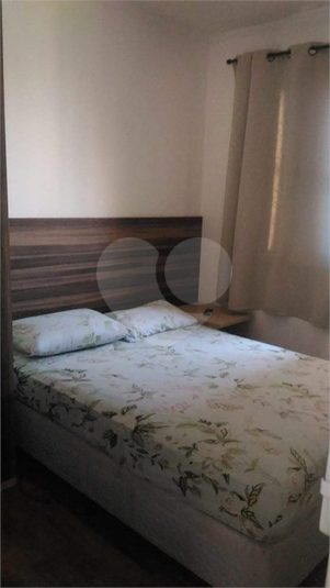 Foto REO513072