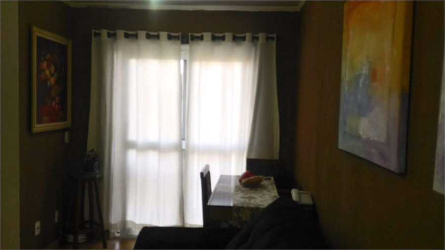 Foto REO513072