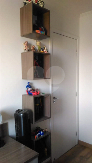 Foto REO513072