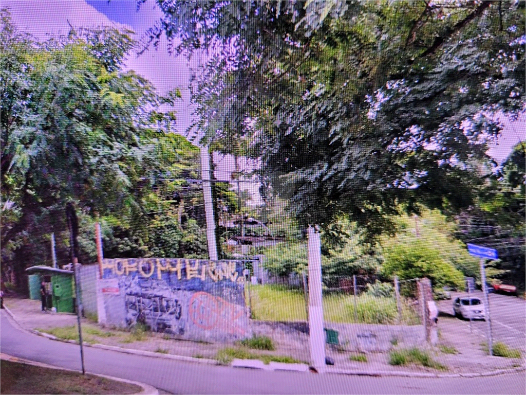 Aluguel Terreno São Paulo Jardim Guedala REO513158 8