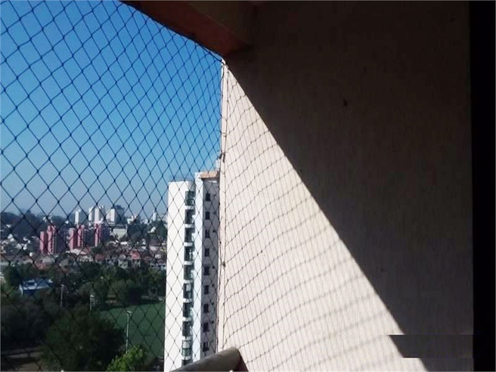 Foto REO513187