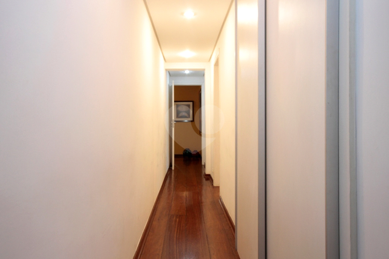 Foto REO513193