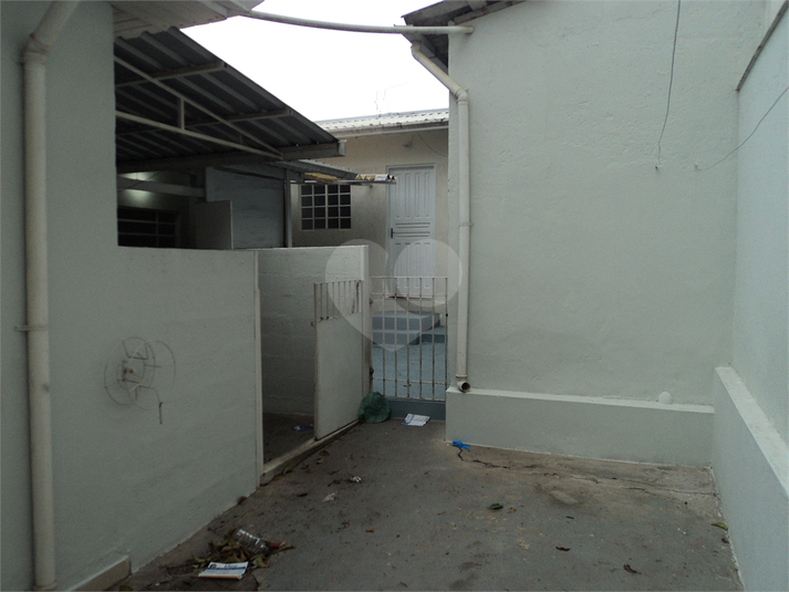 Foto REO513368