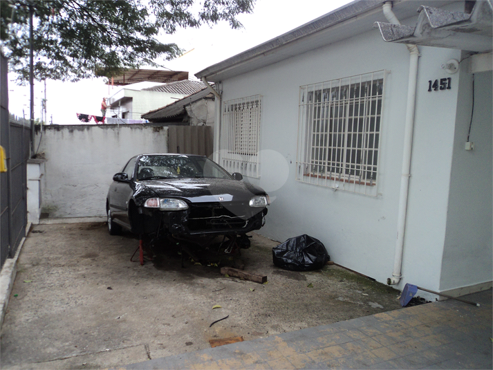 Foto REO513368