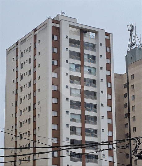 Foto REO513608