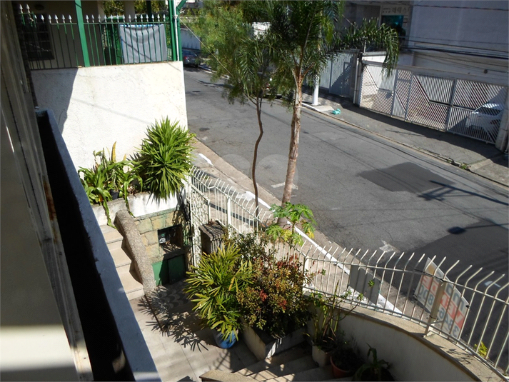 Foto REO513709