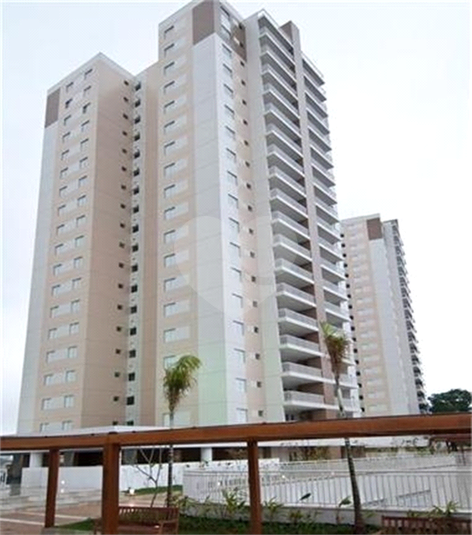 Foto REO513712