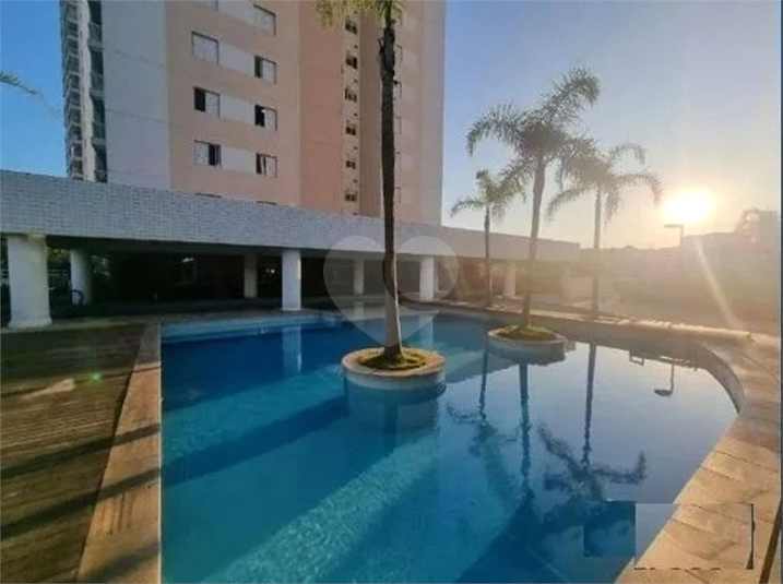 Foto REO513712
