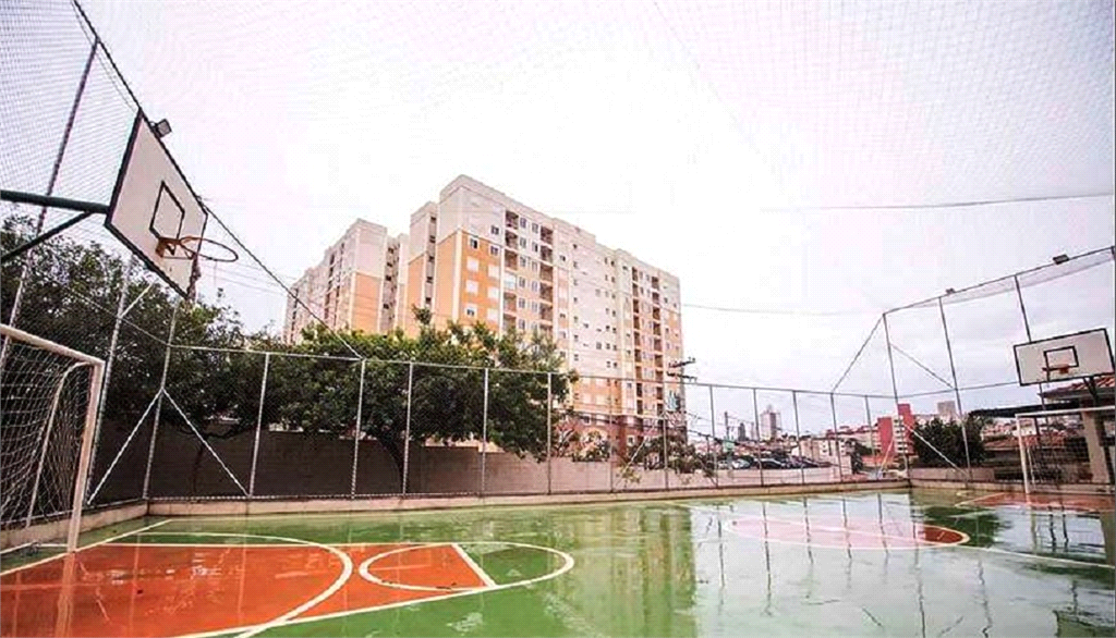 Venda Apartamento Campinas Vila Satúrnia REO513748 21