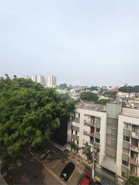 Aluguel Apartamento São Paulo Jardim Santa Mônica REO513879 17