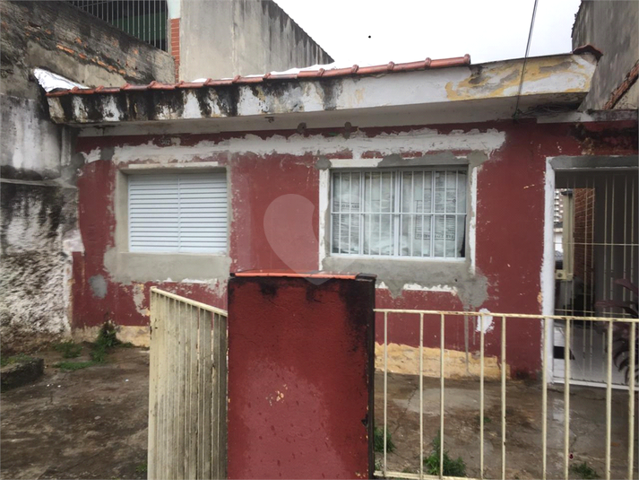 Foto REO514129
