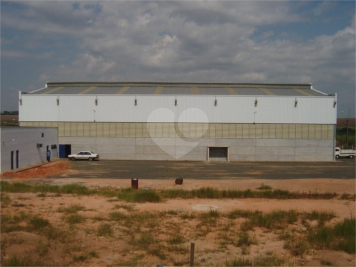 Foto REO514600