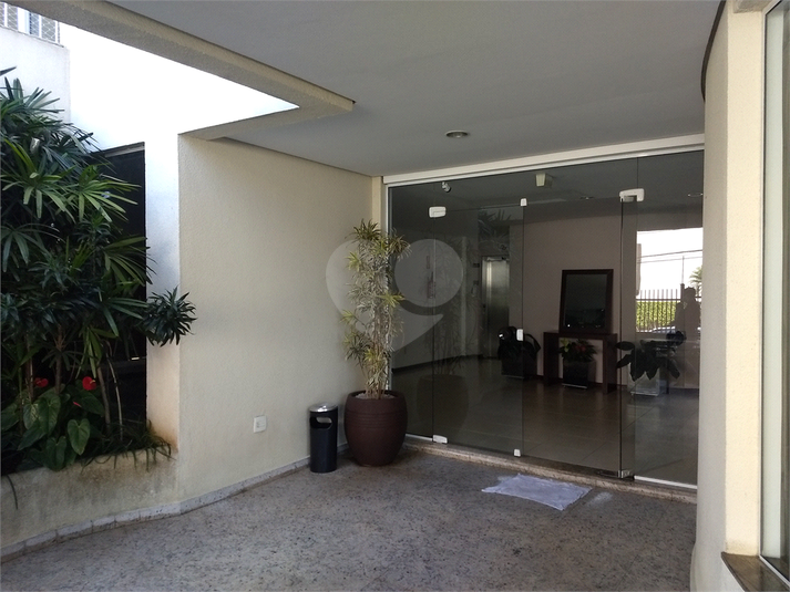 Aluguel Apartamento São Paulo Sumarezinho REO514759 16