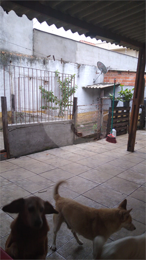 Foto REO515040