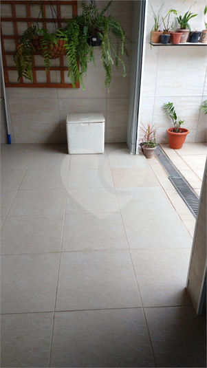 Foto REO515236