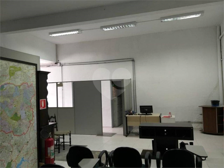 Foto REO515332