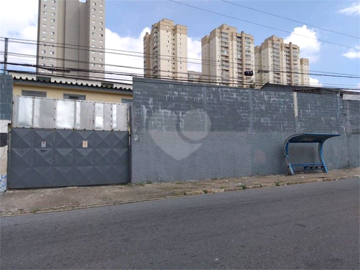 Foto REO515332