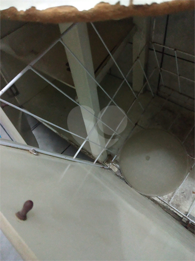 Foto REO515635