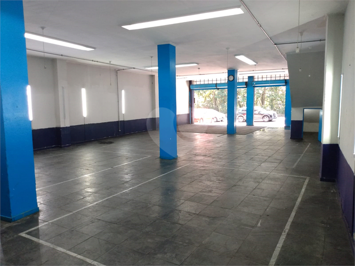 Foto REO516481