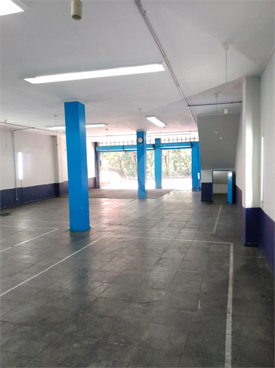 Foto REO516481