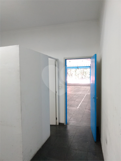 Foto REO516481