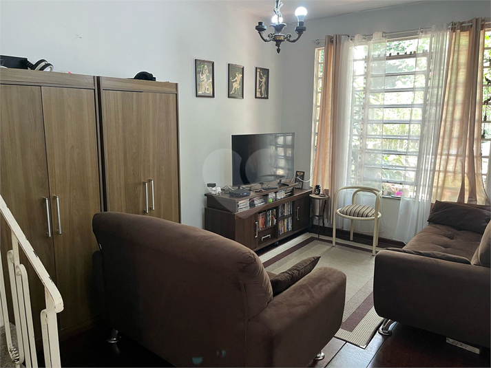Foto REO516538