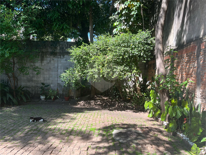 Foto REO516538