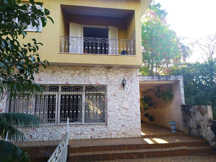 Foto REO516808