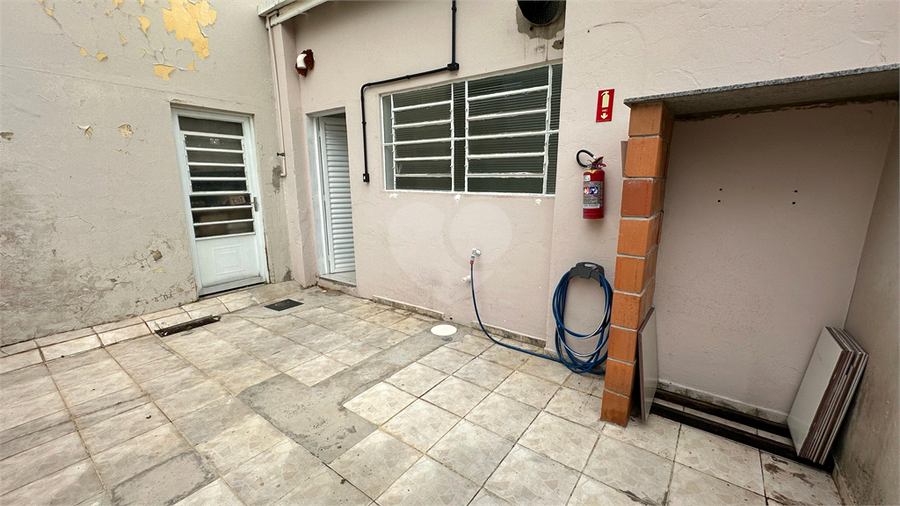 Foto REO516858