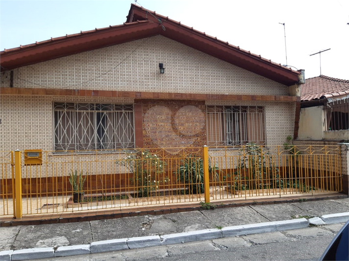 Foto REO516870