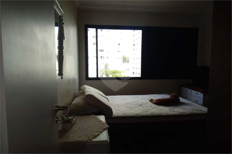 Venda Apartamento Campinas Jardim Proença REO516879 12