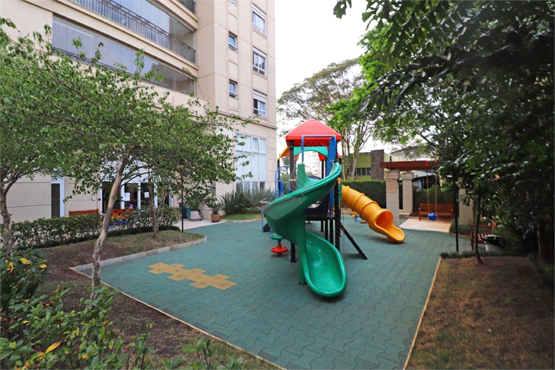Foto REO517158