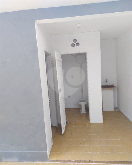 Foto REO517542