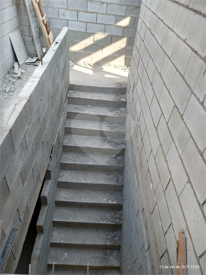 Foto REO517553