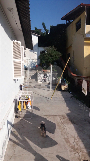 Venda Terreno São Paulo Vila Palmeiras REO517868 12