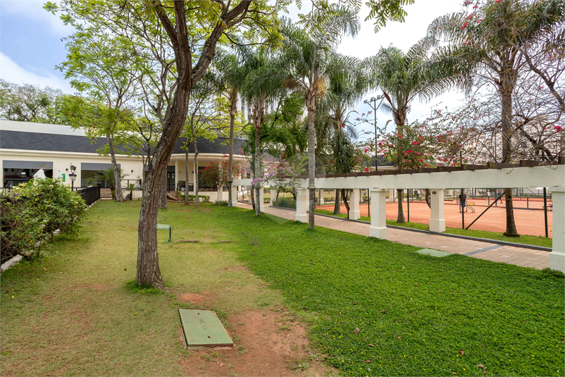 Foto REO517869