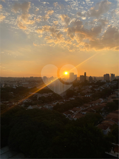 Foto REO517869