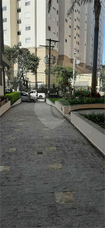 Venda Apartamento São Paulo Santa Teresinha REO518242 1