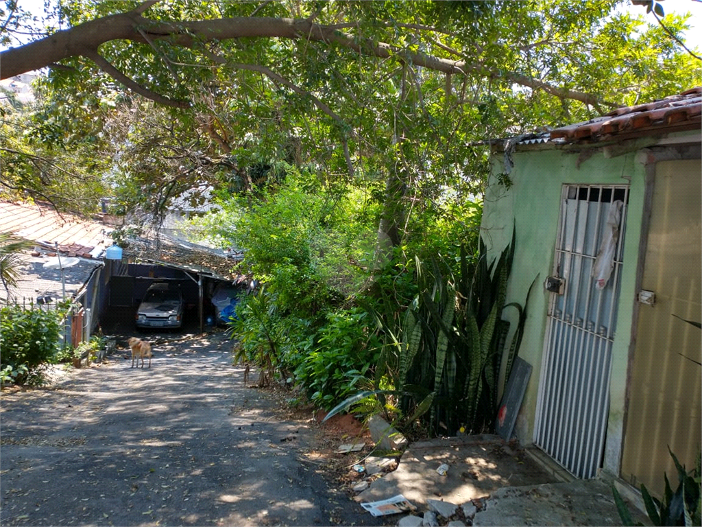 Venda Terreno São Paulo Vila Mazzei REO518307 13