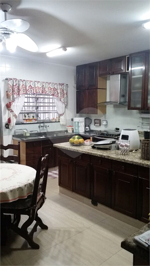 Foto REO518323