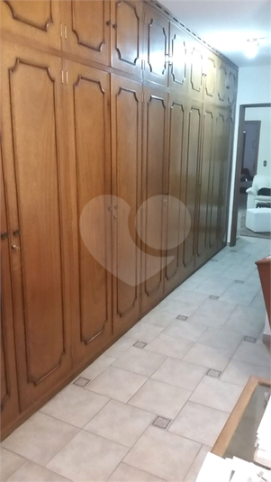 Foto REO518323