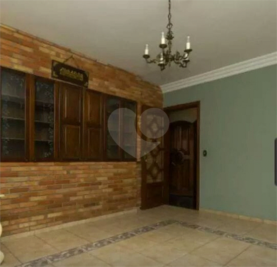 Foto REO518323