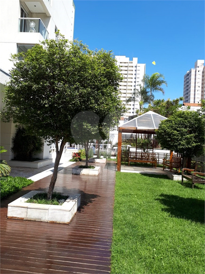 Foto REO518346