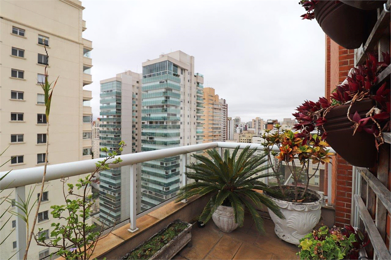 Foto REO518462