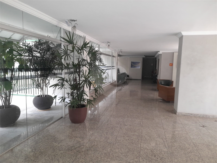 Foto REO518572