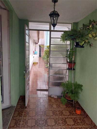 Foto REO518720