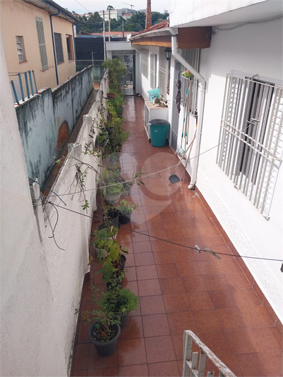 Foto REO518720