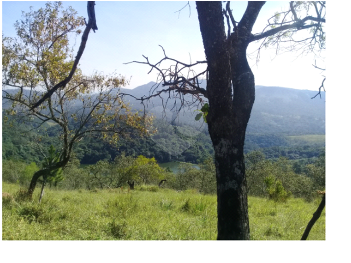 Venda Área de Terra Santana De Parnaíba Portal Da Serra REO518823 3