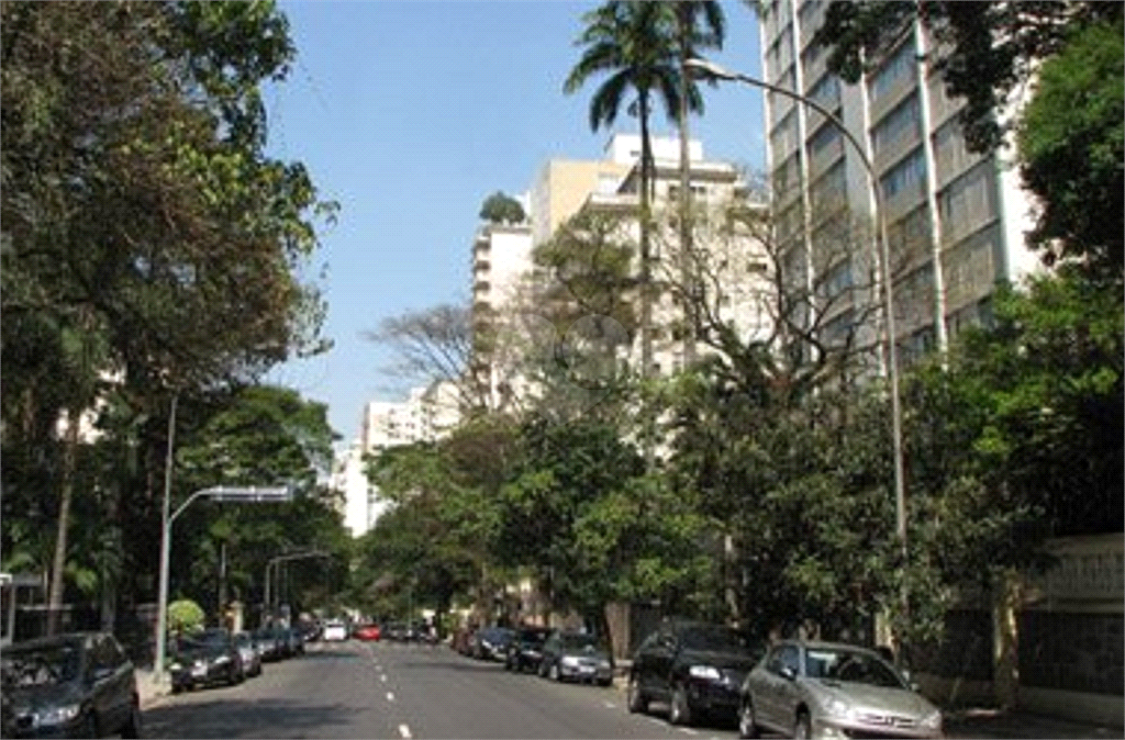 Venda Loja São Paulo Higienópolis REO518830 14